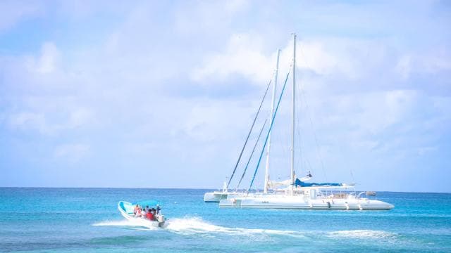 Punta Cana: Katamarán na ostrově Saona — Guided tour and outdoor activity