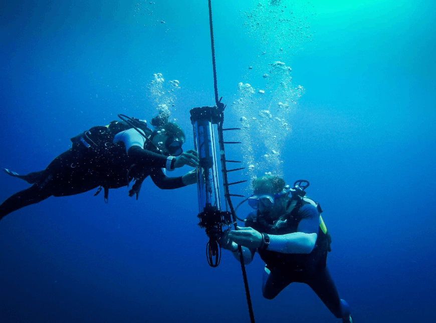 Observarea balenelor din Samaná: condițiile meteorologice și maritime