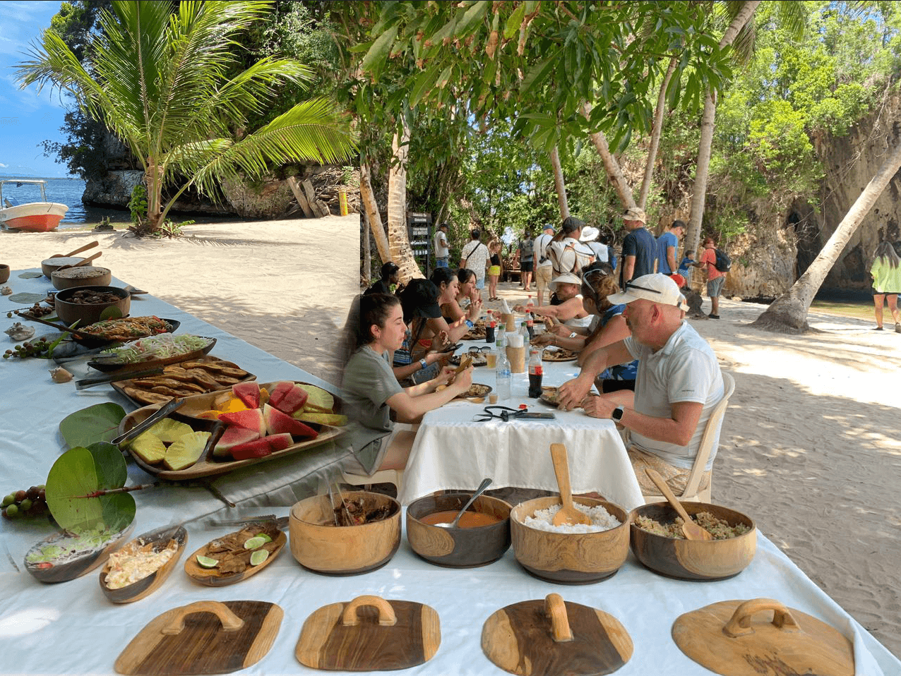 Cum pot călători de la Parcul Național Los Haitises la Punta Cana?