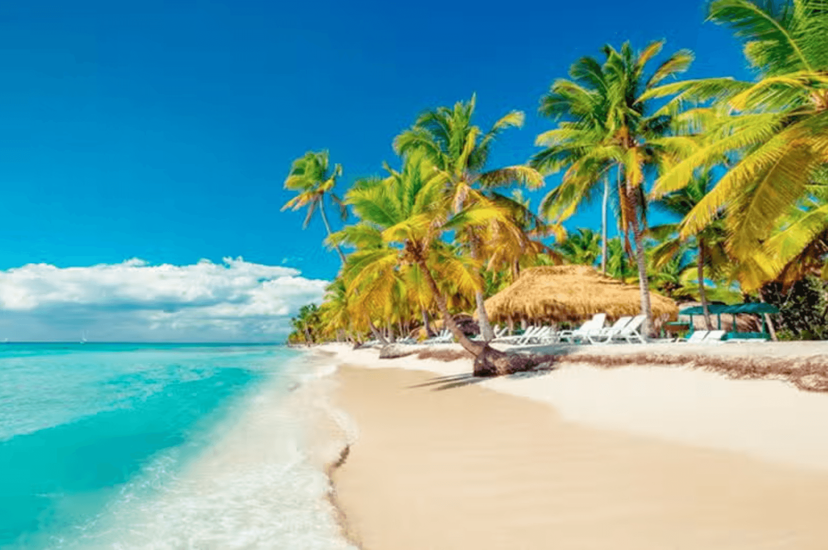 Panoramic view of limestone mogotes, pristine waters, and coast in Saona island - DO