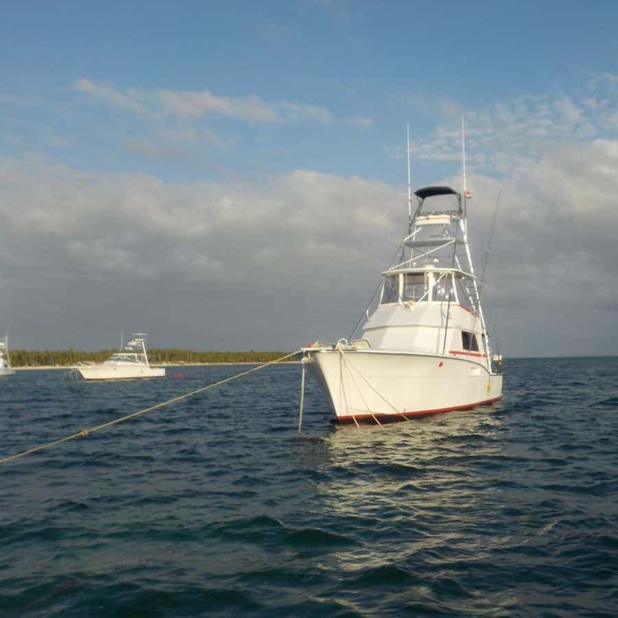 4 hodiny hlubinného rybolovu z Bavaro Punta Cana — Guided tour and outdoor activity