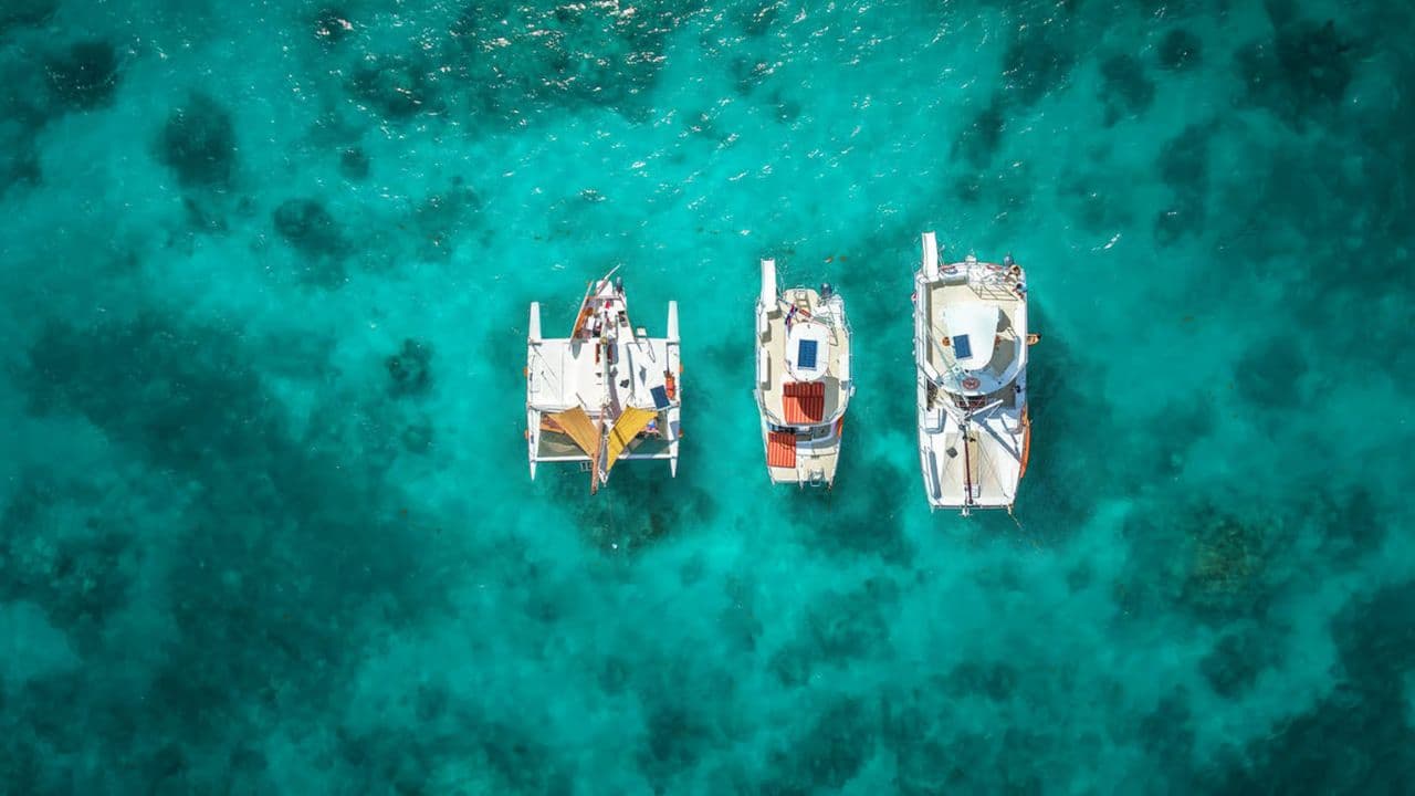 Punta Cana: Catamaran Tour with Taiguey Emotion Show — Guided tour and outdoor activity