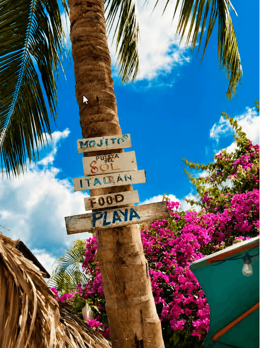 Punta Cana: Ostrov Saona VIP výlet katamaránem All Inclusive — Guided tour and outdoor activity