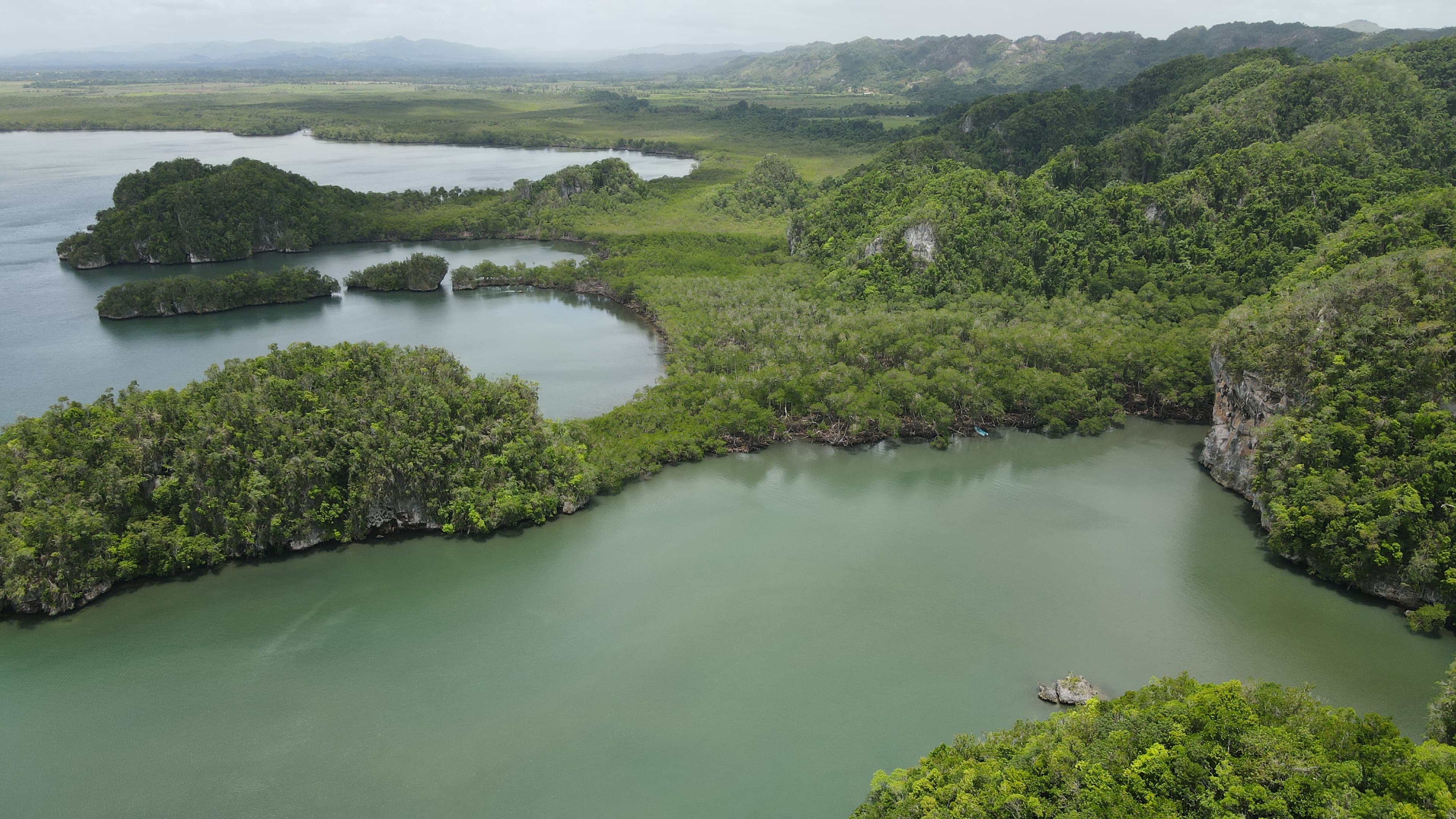 Los Haitises din Samaná: excursii cu barca, peșteri și mangrove