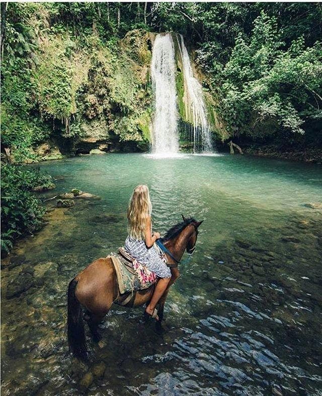 Cele mai bune excursii din Samaná Republica Dominicană (Ghid 2026) | Top Excursii
