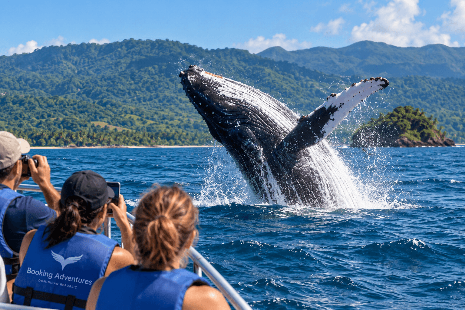 Samaná Whale Watching Sezonul 2027: Cel mai bun moment pentru a vedea balenele cu cocoaș