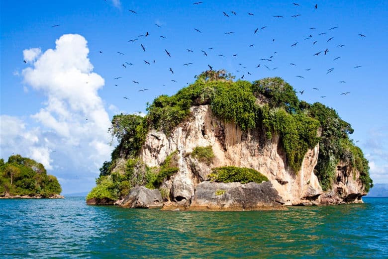 Tur cu barca Los Haitises | Peșteri, mangrove și faună sălbatică