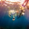 Punta Cana: Full-Day Snorkeling Tour to Catalina Island - Image 16