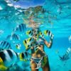 Punta Cana: Catalina Island Catamaran Cruise with Snorkeling – Image 4
