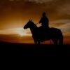 Punta Cana: Sunset Horseback Ride in Macao Beach and Forest - Gambar 7