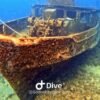 Bayahibe: Snorkeling Tour - Sea, Cotubanama park & Cenotes — изображение 4